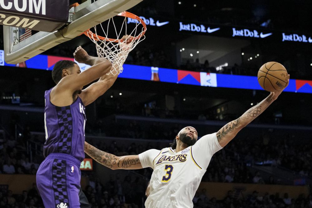 他们不仅需 他们不仅需